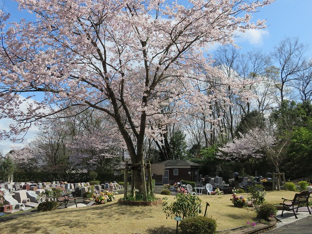 エンディングセンター桜葬墓地（町田市）の施設写真